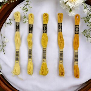 DMC Mouliné Spécial Six Stranded Embroidery Floss | Sunshine Color Palette Set