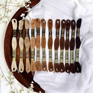 DMC Mouliné Spécial Six Stranded Embroidery Floss | Breathtaking Beauty Color Palette Set