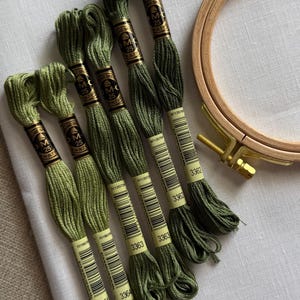 May include: An assortment of green embroidery floss skeins with gold labels, arranged near a wooden embroidery hoop. The floss colors range from light to dark green. The labels show the DMC brand and color numbers.
