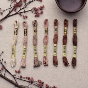 DMC Mouliné Spécial Six Stranded Embroidery Floss | Rustic Raisin Color Palette Set