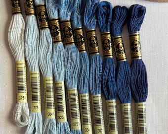 DMC Mouliné Spécial Six Stranded Embroidery Floss | Midnight Garden Color Palette
