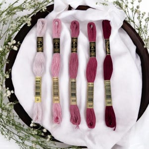 DMC Mouliné Spécial Six Stranded Embroidery Floss | Marvelous Magenta Color Palette Set