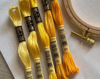 DMC Mouliné Spécial Six Stranded Embroidery Floss | Sunshine Color Palette