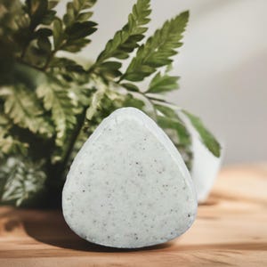 Solid Shampoo for Oily Normal Combination Hair Vegan Zero Waste Bar Natural Hair Care Handmade Nourishing Eco Friendly Organic Shampoo Bar