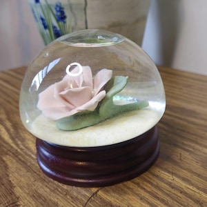 Water Rose Globe - Etsy