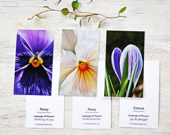 floral gift card, set, flower gift tags, gift tag,  botanical, garden, gardener gift, pansy, wedding gift card, spring, language of flowers