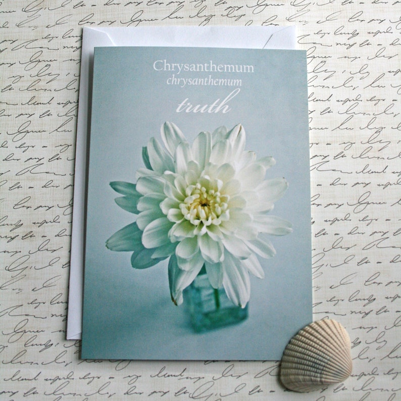 chrysanthemum Language of Flowers note card // Nature Floral Plant Life Botanical // Prairie Garden image 3