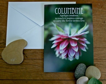 columbine photo note card flower folklore // Nature Floral Plant Life Botanical // Prairie Garden