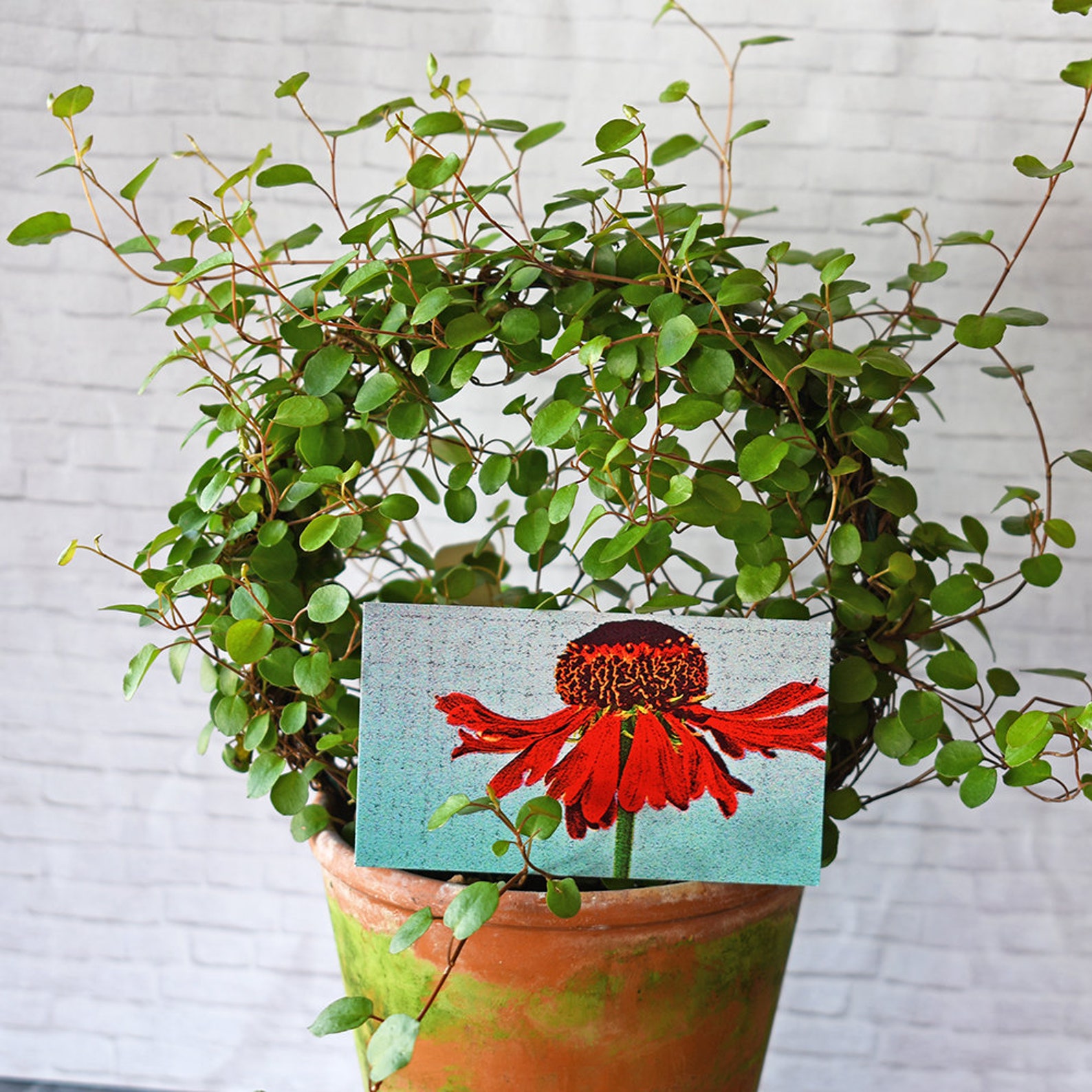 Floral Gift Card Set of 3 or More Flower Gift Tags Gift Etsy