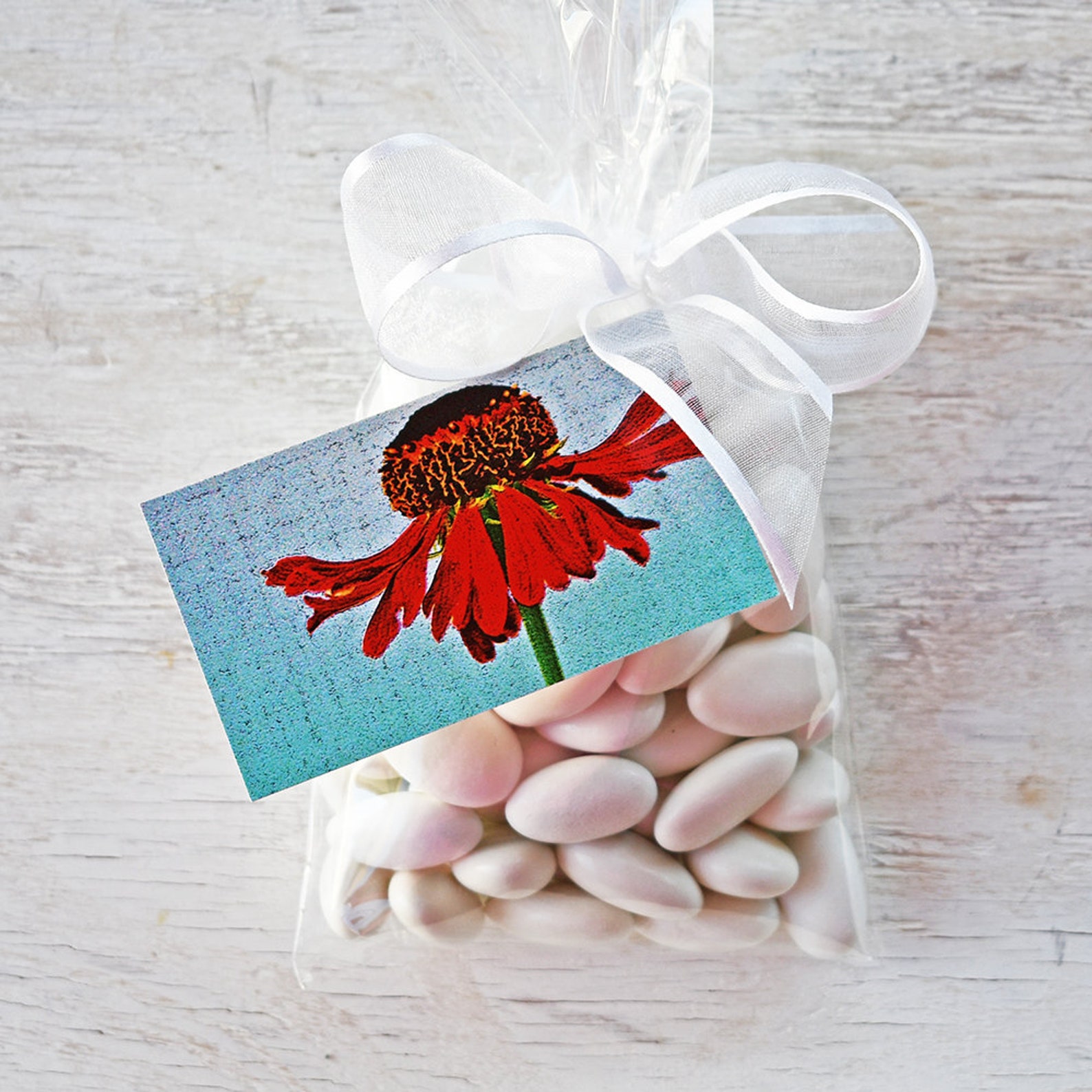 Floral Gift Card Set of 3 or More Flower Gift Tags Gift Etsy