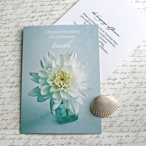 chrysanthemum Language of Flowers note card // Nature Floral Plant Life Botanical // Prairie Garden image 1