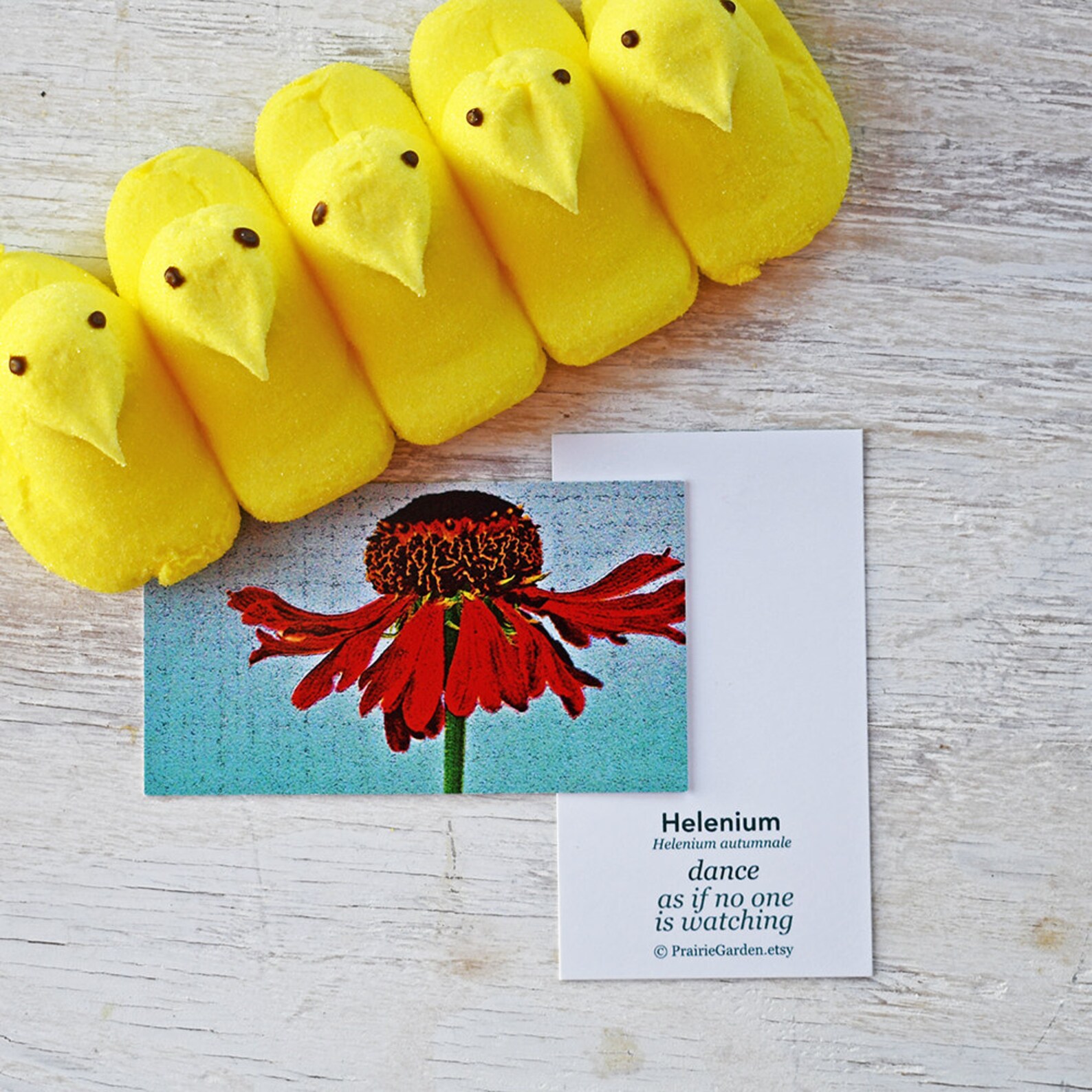 Floral Gift Card Set of 3 or More Flower Gift Tags Gift Etsy