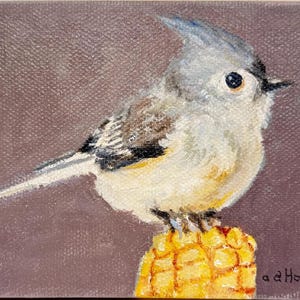 Tufted Titmouse