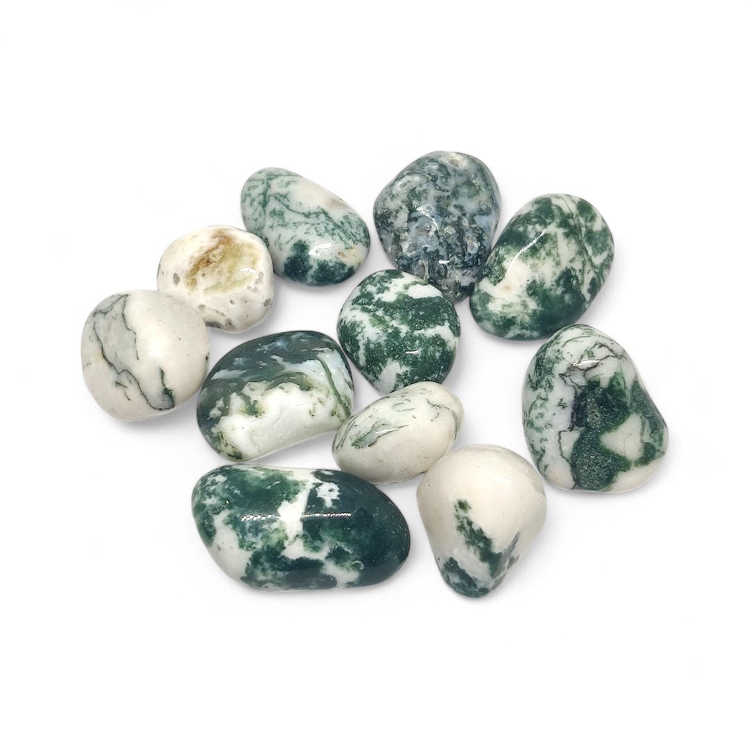 Timbled Tree Tree Agate Tumbled Stones | Natural Courage and Peace Crystal | Healing ...