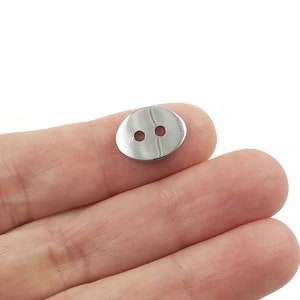 May include: A silver oval-shaped button with two holes.