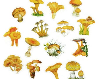 Yellow mushroom sticker pack - 15 cute botanical stickers - Cottagecore journal planner