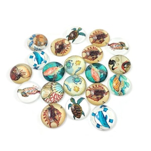 Trésors de la mer - Ensemble de 20 cabochons variés de 12mm ou 14mm