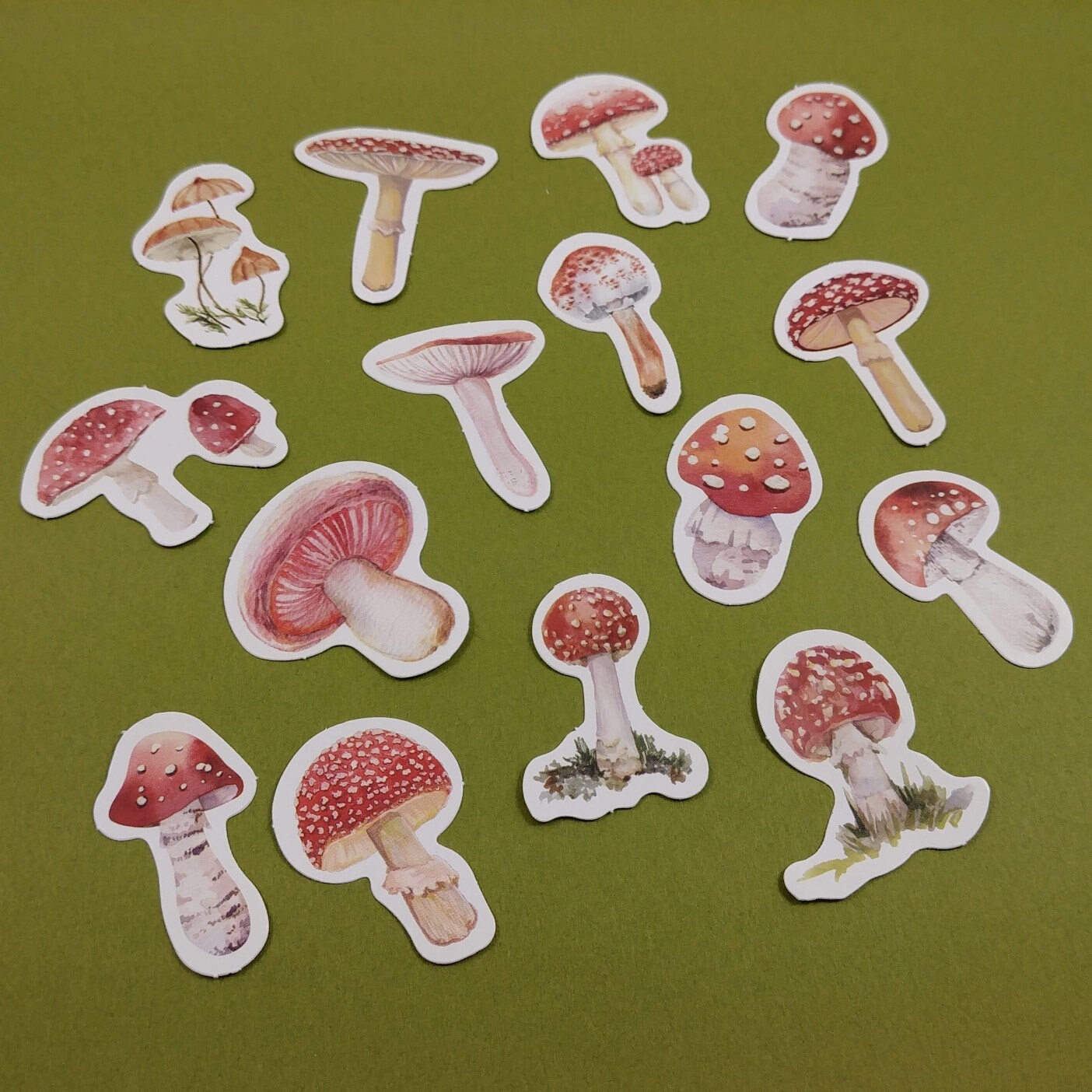 HINZIC 200pcs Red Strawberry Stickers, Self Adhesive Mushroom Sticker  Botanical Stickers Transparent Flower Stickers for Scrapbooking Vintage  Plant
