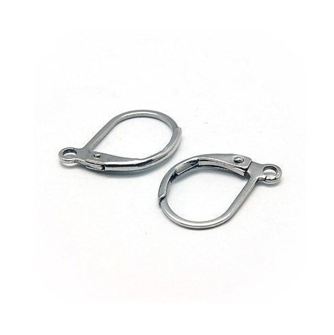 304 Stainless Steel Earring Hooks, Ear Wire, with Vertical Loop, Stain