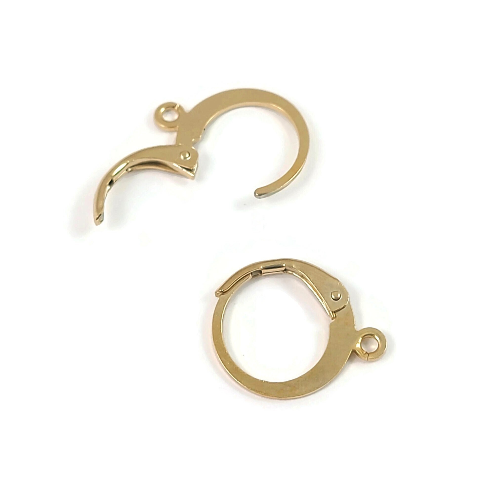 304 Stainless Steel Earring Hooks, Ear Wire, with Vertical Loop, Stain