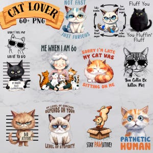 Lustiges Katzen-Bundle 60+ PNG, Katzenliebhaber PNG, lustige Katze, verrückte Katze, Katzen-T-Shirt-Designs, kommerzielle Nutzung, Haustiere png, orange Katze, sarkastische Katze