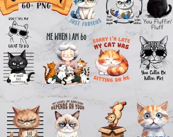 Funny Cat Bundle 60+ PNG, Cat lover PNG , funny cat, crazy cat, cat T-shirts Designs, Commercial use, pets png , orange cat, sarcastic cat
