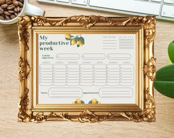 Plantillas de planificador semanal con temática de frutas / 5 diseños imprimibles en PDF para una vida organizada