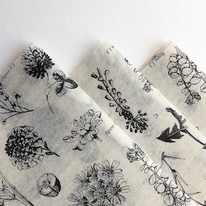 BOTANICAL  229 In Stock Tissue Sheets supply retail store packaging DIY Flowers floral plants cream black vintage