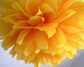 MARIGOLD tissue paper pompom fiesta wedding decorations circus carnival first birthday party golden yellow grad coco dia los muertos Purim