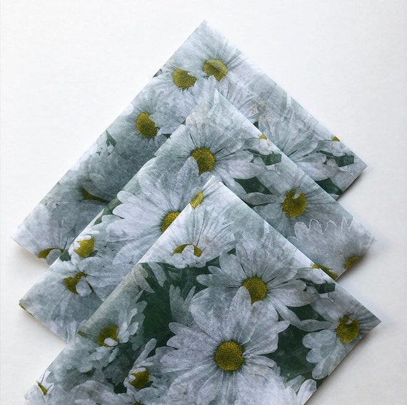 DAISY DREAM tissue paper sheets /gift present wrapping craft supply retail store packaging plants Flowers daisies floral botanical print Il_570xn