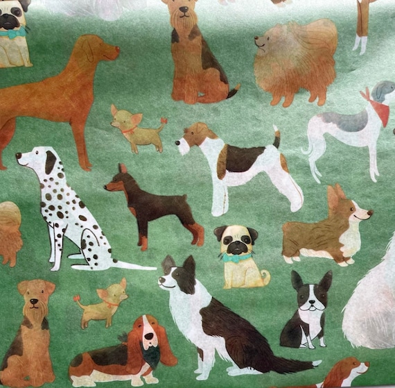 Why Do Dogs Love Tissues