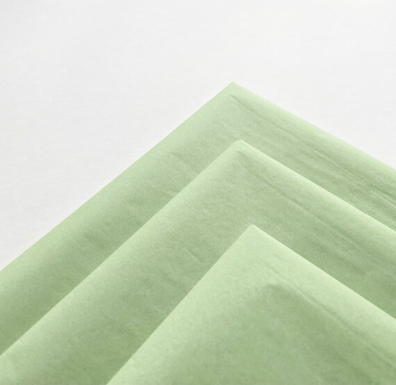 TISSUE PAPER SHEETS willow celadon green pastel neutral retail and gift wrapping craft supply packaging art project decoupage pompom colors Il_570xn