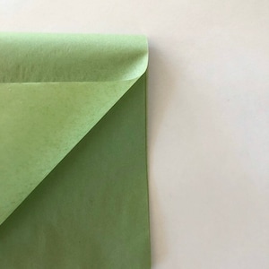 May include: A folded sheet of light green tissue paper.