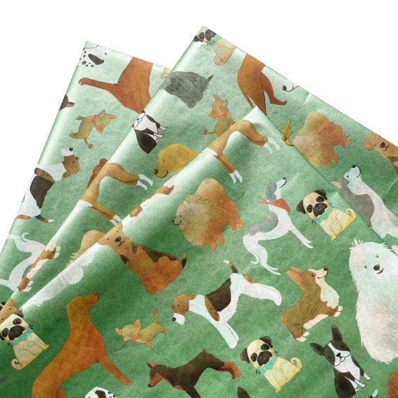 Why Do Dogs Love Tissues