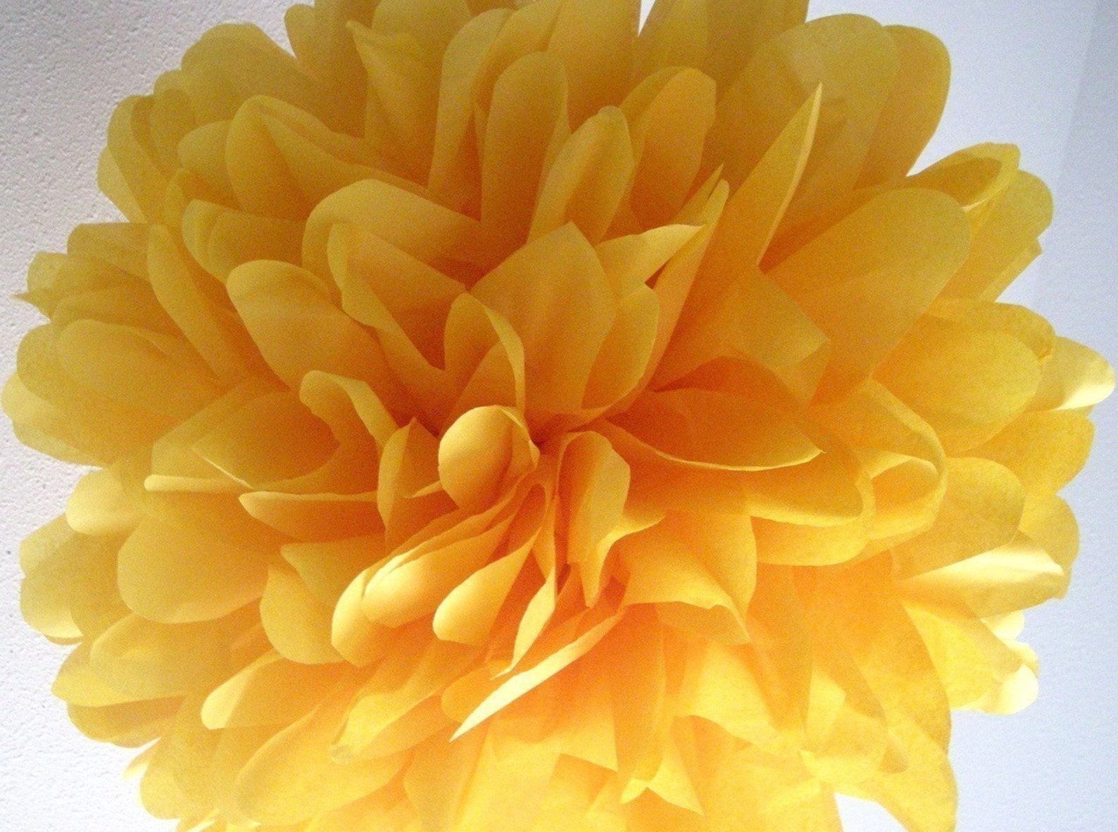 MARIGOLD Tissue Paper Pompom Fiesta Wedding Decorations Circus Etsy