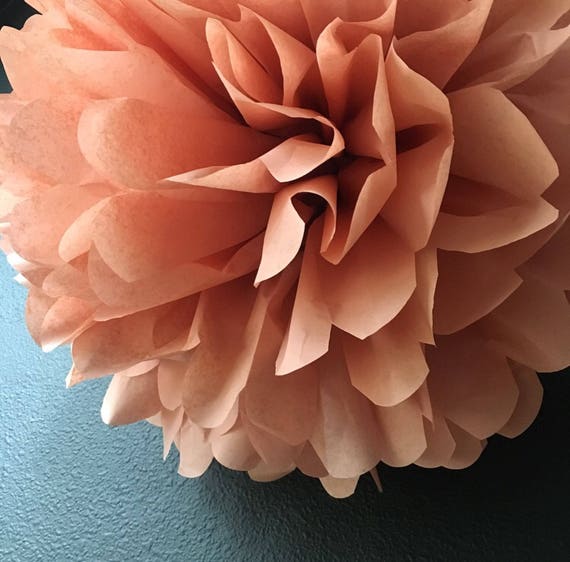 ROSÉ tissue paper pompom baby bridal shower luncheon rose gold copper wedding decorations wine tasting party french paris birthday bohemian Il_570xn