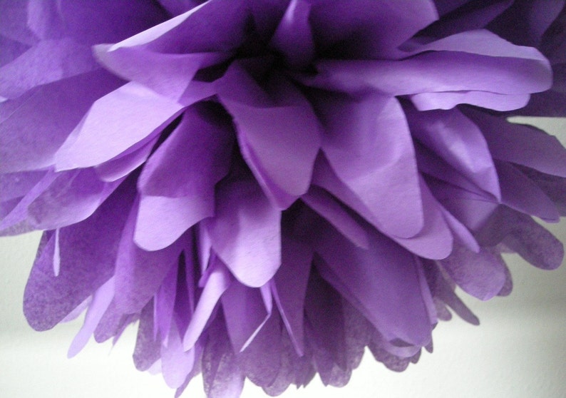 GRAPE tissue paper pompom sofia the first party decorations purple girl birthday party pom decor spa dessert candy bar doc mcstuffins