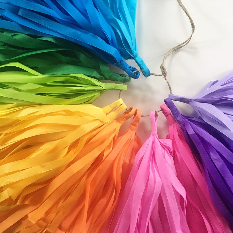 RAINBOW FUN Tissue Paper Tassel Garland Rainbow Decorations Etsy
