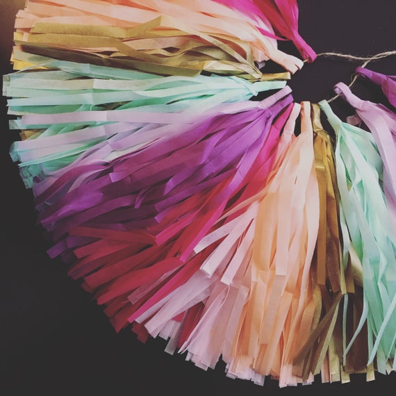WEDDING MIX Garland tissue paper tassel garland girl nursery decor 30th birthday party decorations ceremony aisle marker photo prop backdrop Il_570xn
