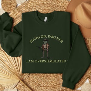 Hold On Partner I’m Overstimulated Embroidered Sweatshirt, Cowboy Frog Unhinged Shirt, Weirdcore GenZ Crewneck sweatshirt