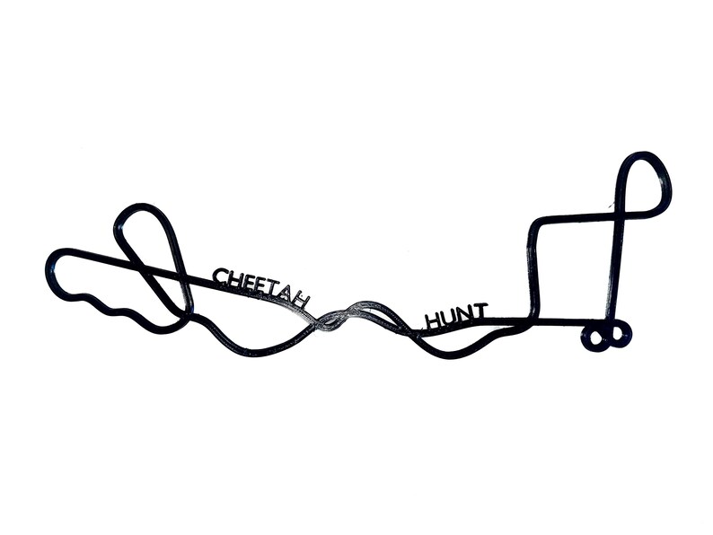 Busch Gardens Tampa Bay Individual Roller Coaster Track Print Busch