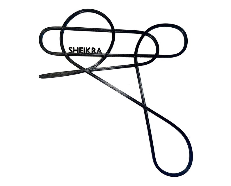 Busch Gardens Tampa Bay Individual Roller Coaster Track Print Busch