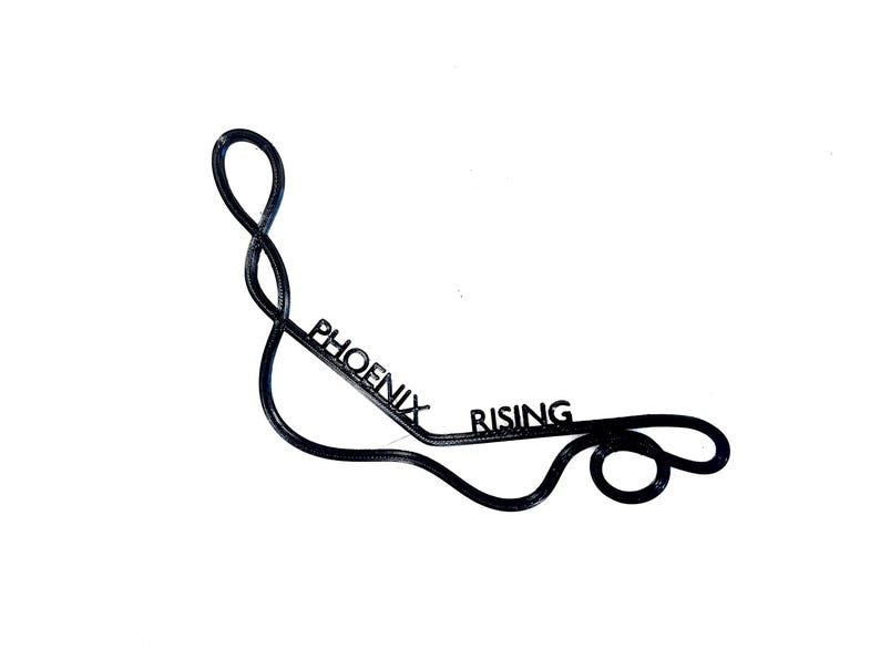 Busch Gardens Tampa Bay Individual Roller Coaster Track Print Busch