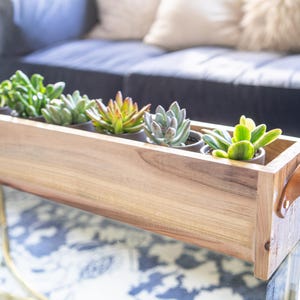 Modern Heritage cederhouten plantenbak met leren handvatten | Doos voor succulenten en kruiden op tafel | Bloemstukdoos