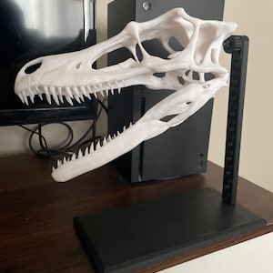 Full-Size 3D Printed Raptor Skull with Stand – Realistic Dinosaur Fossil Replica -