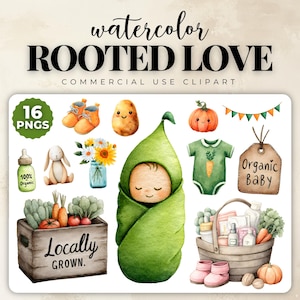 Pack de cliparts baby shower cultivé localement, graphiques pour bébé frais de la ferme, jardin bébé PNG, Art bio Baby Shower, décoration rustique pour baby shower