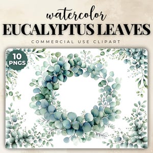 Watercolor Eucalyptus Leaves Clipart, Clipart for Commercial Use, Greenery Transparent PNGs, Green Leaves Border for Invitations and Cards