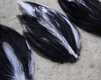 SET OF 5 - Black and White Hackle Feather Pad