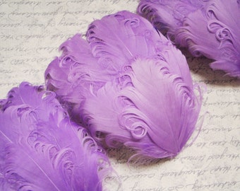 Set of 5 Lavender Light Purple Nagorie Curled Goose Feather Pads