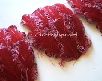 SET OF 5 - 3.50 ea - Wine on Lilac - Sangria Curled Goose Nagorie Feather Pads